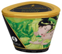 627712 Masážna sviečka Shunga Zenitude Exotic Green Tea