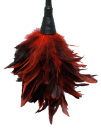 540544 Pierko Frisky Feather Duster